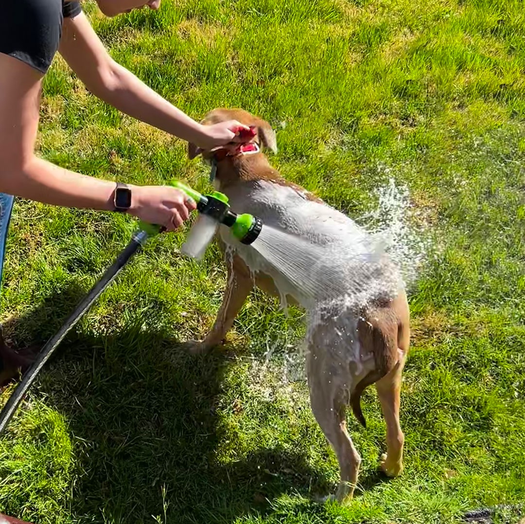 Lätt och snabb rengöringsspray för djur